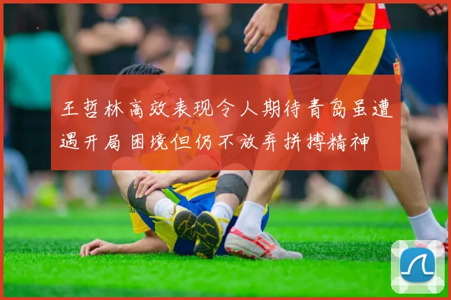 王哲林高效表现令人期待青岛虽遭遇开局困境但仍不放弃拼搏精神