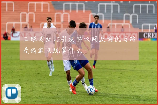 三球闯红灯引发热议网友调侃马路是我家交规算什么